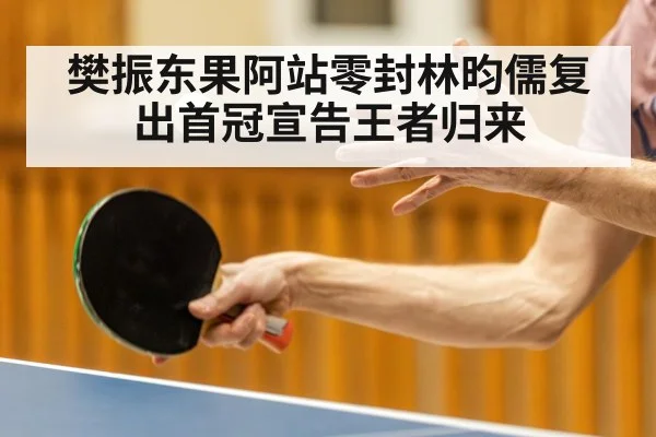 樊振东果阿站零封林昀儒复出首冠宣告王者归来