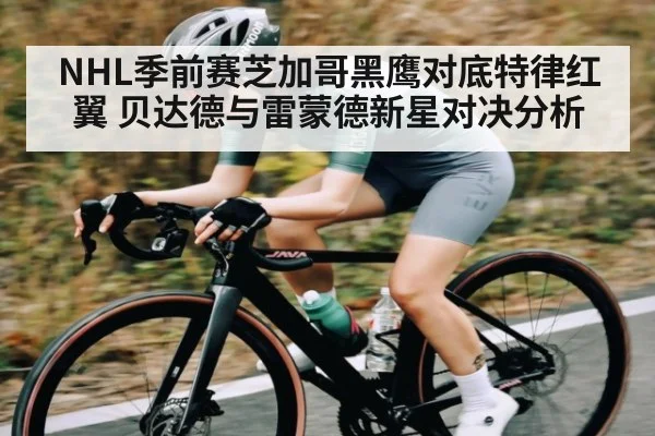 NHL季前赛芝加哥黑鹰对底特律红翼 贝达德与雷蒙德新星对决分析